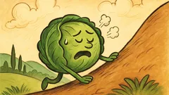 Ανέκδοτο: Τι λέει το λάχανο όταν ανεβαίνει;